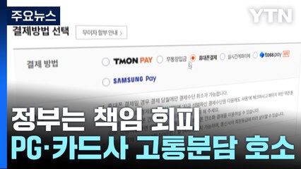 정부는 책임 회피...카드·PG사는 "고통 분담" 호소 / YTN