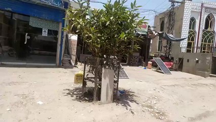 Jamia masjid AL sadat Bahawalpur
