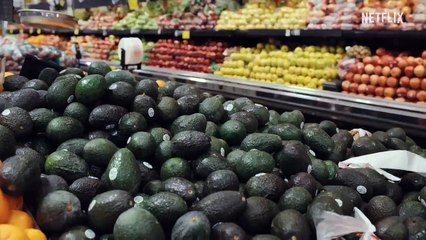 En la mente de un perro Tráiler VO