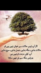 آپ درخت تو نہیں ہیں جو اپنی جگہ سے ہل نہیں سکتے #trending#viral#shorts#islamic#foryou#dailymotion#share