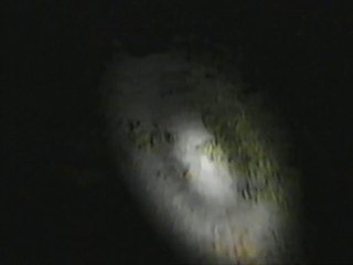 Beware of The Trollface (Found Footage) short horror film