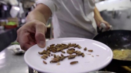 Singapore Restaurant Introduces Insects to the Menu Following Government Approval