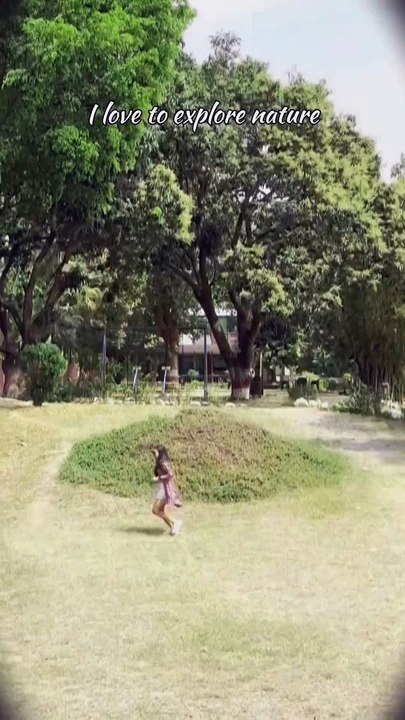 Resort in Jim Corbett