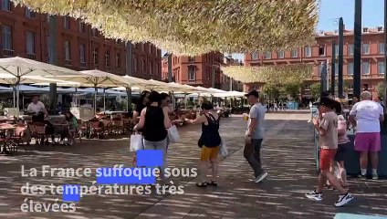 Des Toulousains réagissent à la vague de chaleur sur la place du Capitole