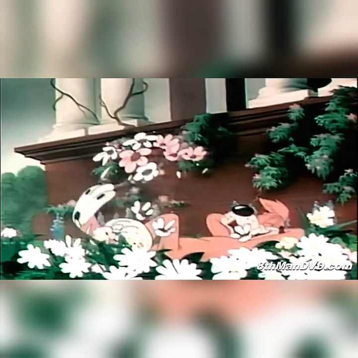 Ding dong daddy fanny video