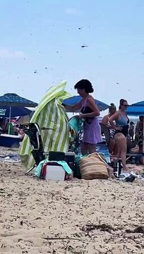 ENXAME DE LIBÉLULAS INVADE PRAIA E ASSUSTA BANHISTAS NOS EUA