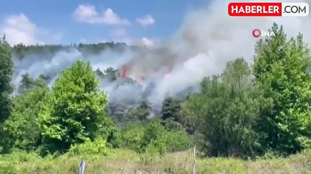 Ormanlık alanda çıkan yangın için ekipler seferber oldu