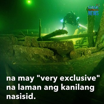Mga diver, may espesyal na nadiskubre sa isang shipwreck | GMA Integrated Newsfeed