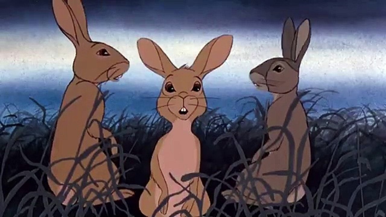 Orejas Largas - Bright eyes