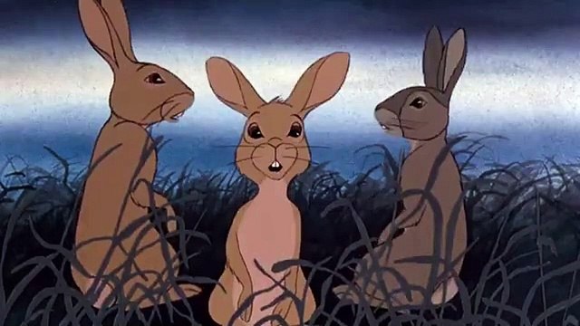 Orejas Largas - Bright eyes