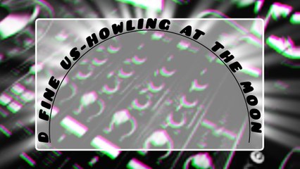 D Fine Us-howling At The Moon