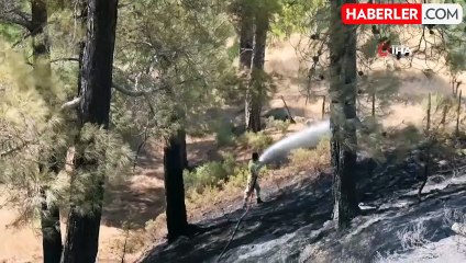 Kahramanmaraş'ta ikamet yangını ormana sıçradı
