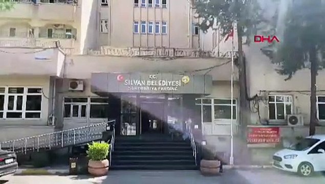 DEM Partili belediye sokak köpeklerini toplamaya başladı