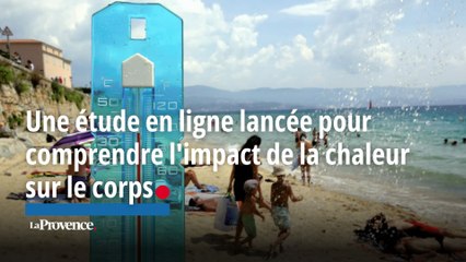Une étude en ligne lancée pour comprendre l'impact de la chaleur sur le corps