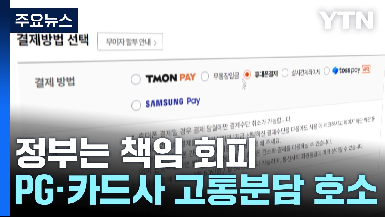 정부는 책임 회피...카드·PG사는 "고통 분담" 호소 / YTN
