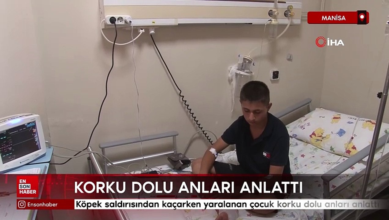 Manisa'da köpek saldırısından kaçarken yaralanan çocuk korku dolu anları anlattı