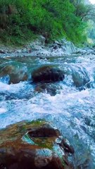 Discover the Natural Paradise of the Galyat Areas