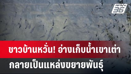 ชาวบ้านหวั่น! อ่างเก็บน้ำเขาเต่า กลายเป็นแหล่งขยายพันธุ์ "ปลาหมอคางดำ" | เข้มข่าวค่ำ | 30 ก.ค. 67