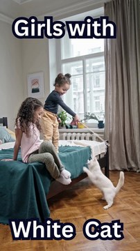 Funniest Cat Video Compilation! Adorable & Hilarious Cat Antics