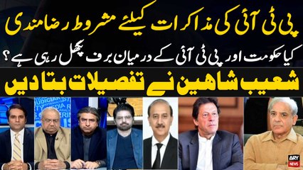 PTI Talks With PMLN Govt - Shoaib Shaheen Told Everything