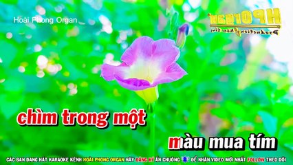 Karaoke Bông Mua Tím (Beat Hay) Tone Nữ Nhạc Sống (Bbm) Hoài Phong Organ