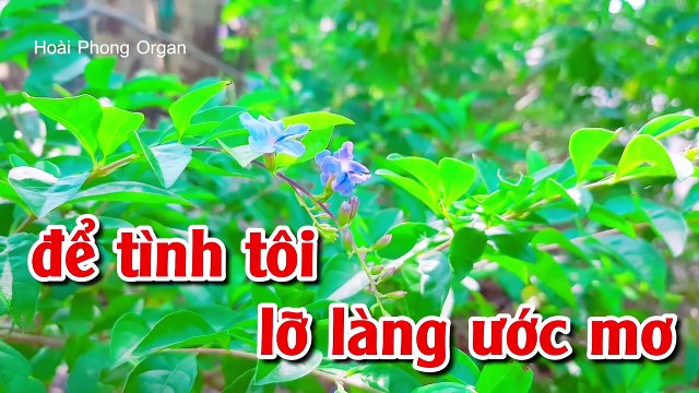 Karaoke Bến Sông Chờ Tone Nữ Nhạc Sống DỄ HÁT - Hoài Phong Organ