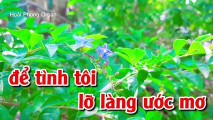 Karaoke Bến Sông Chờ Tone Nữ Nhạc Sống DỄ HÁT - Hoài Phong Organ