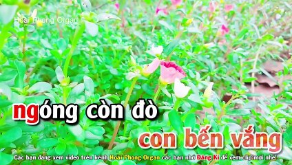 Karaoke Con Đò Lỡ Hẹn Nhạc Sống (Beat Hay) Tone Nữ - Hoài Phong Organ