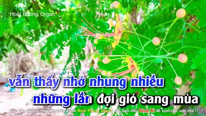 Karaoke Đam Mê Tone Nam Nhạc Sống Dể Hát - Hoài Phong Organ