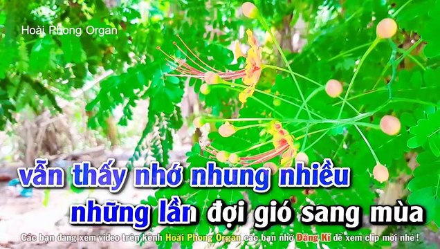 Karaoke Đam Mê Tone Nam Nhạc Sống Dể Hát - Hoài Phong Organ