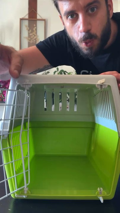 L’histoire fictive de Youpi est l’histoire vraie de milliers d’animaux chaque année…