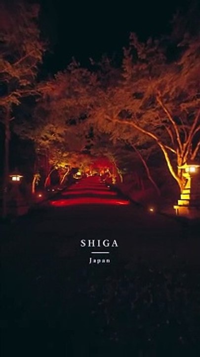 SHIGA JAPAN    Taisha - Hiyoshi Taisha Shiga  #foryouシ  #fypシ゚  #japantravel #shigajapan #Japan #traveljapan #vacation #travel