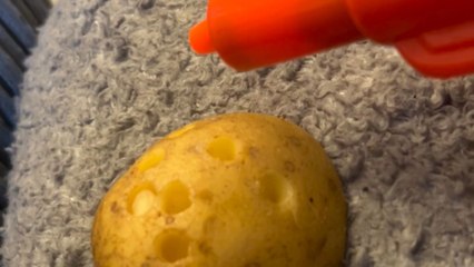 Comical video shows woman's precise spud gun shot at her unassuming partner