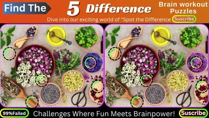 Find The Difference' Puzzle Only Genius