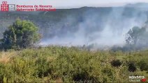 Bomberos trabajan en sofocar un incendio forestal en Cáseda