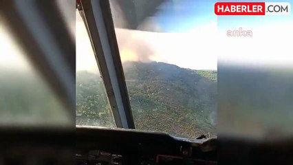 İzmir'de Urla ilçesinde orman yangını çıktı