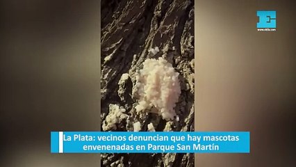 Download Video: Vecinos denuncian que hay mascotas envenenadas en Parque San Martíecinos denuncian que hay mascotas envenenadas en Parque San Martín