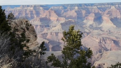 Bucket list bonanza: Last-minute trip makes a couple's grand dream a reality