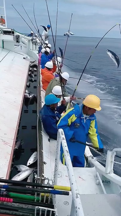 Fishes Through Faster On Boat ...!!