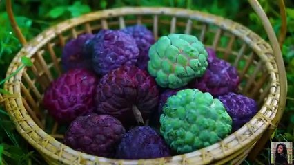 Creamy custard Apples Making steamed buns and mulberry jam rolls.