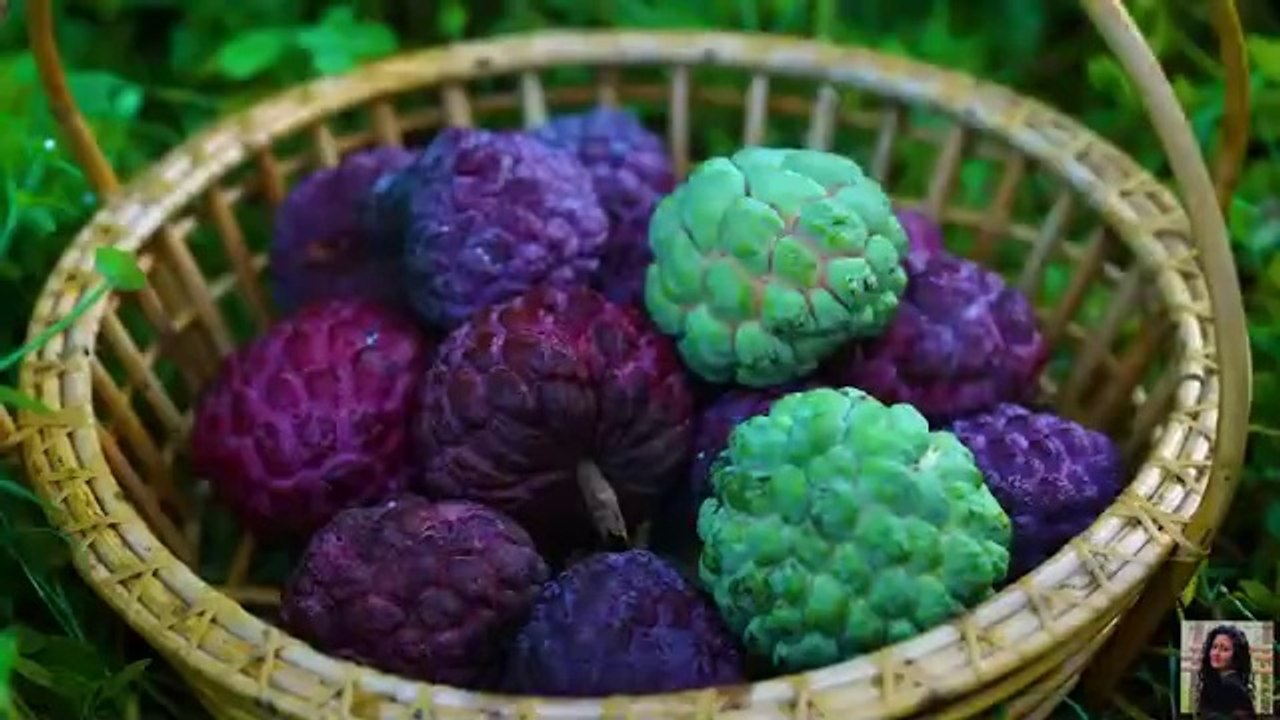 Creamy custard Apples Making steamed buns and mulberry jam rolls.