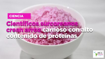 Científicos surcoreanos crean arroz carnoso con alto contenido de proteínas