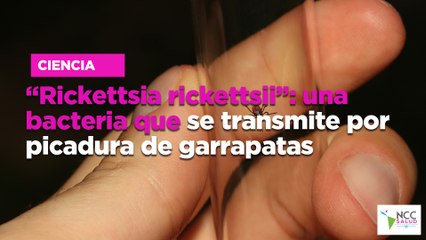 “Rickettsia rickettsii”: una bacteria que se transmite por picadura de garrapatas
