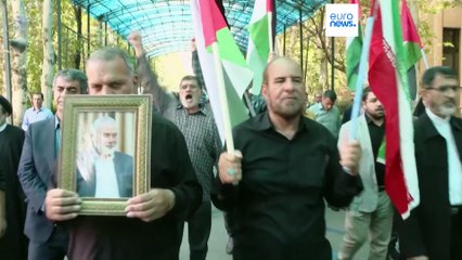 Протесты в связи с убийством Исмаила Хании