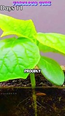 Fun & Spooky Short Stories for Kids in Multiple Languages 📖