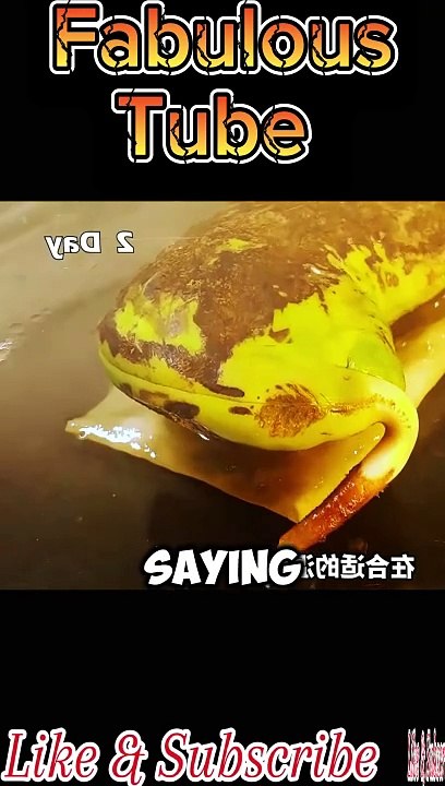 A short motivational story | life lesson story #motivation #motivational  #wisdom #mindset #lifelesson #love #inspirational