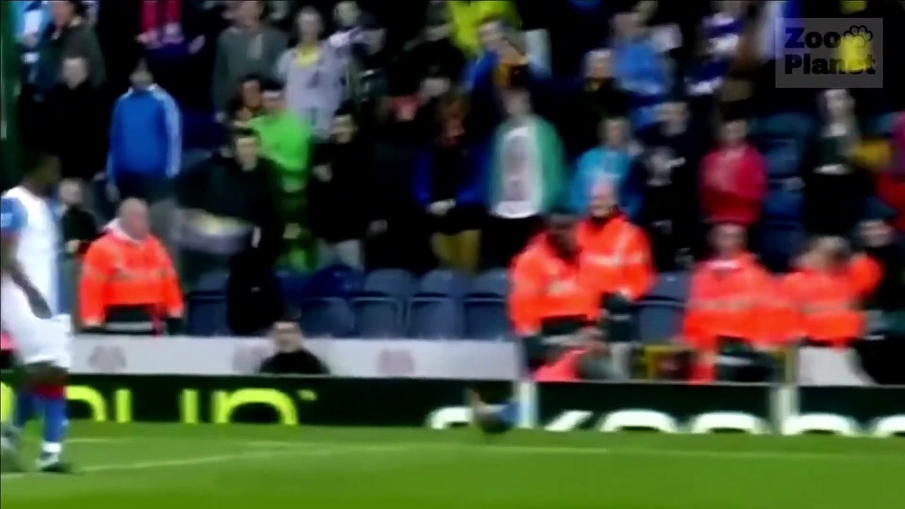 Momenti più divertenti del calcio