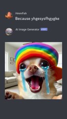 Cat_Wants_To_Marry_Chihuahua_#memes(360p)