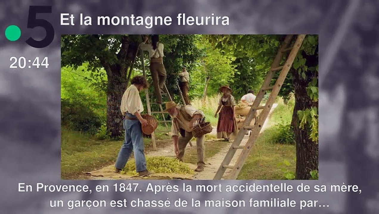 Programme TV soirée du Mercredi 31 juillet 2024