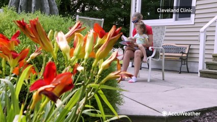 Cultivating healthy summer habits: a pediatrician's guide to activities for kids
